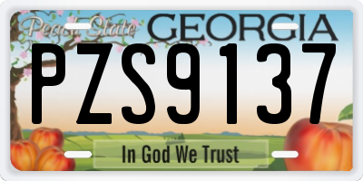 GA license plate PZS9137