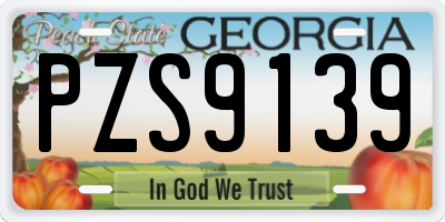 GA license plate PZS9139