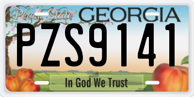 GA license plate PZS9141
