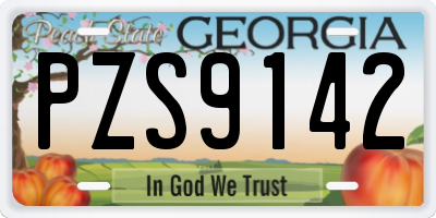GA license plate PZS9142