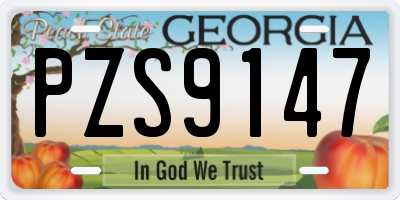 GA license plate PZS9147