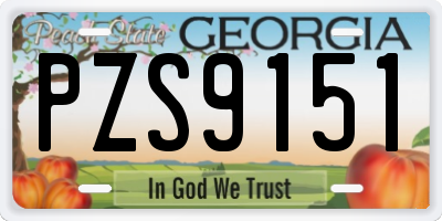 GA license plate PZS9151