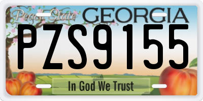 GA license plate PZS9155