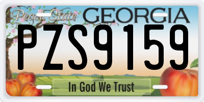 GA license plate PZS9159