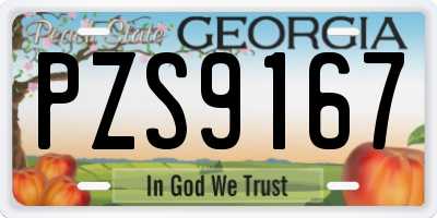 GA license plate PZS9167