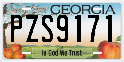 GA license plate PZS9171