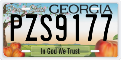 GA license plate PZS9177
