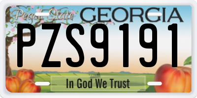 GA license plate PZS9191