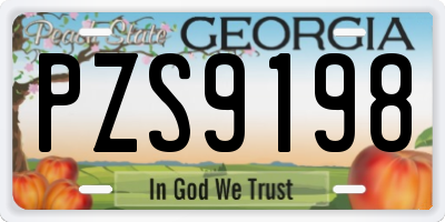 GA license plate PZS9198