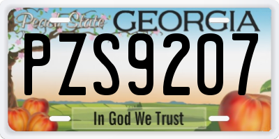 GA license plate PZS9207