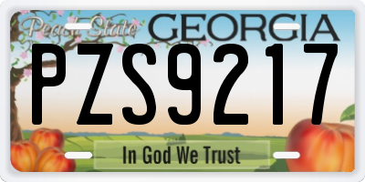 GA license plate PZS9217