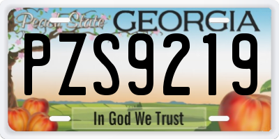 GA license plate PZS9219