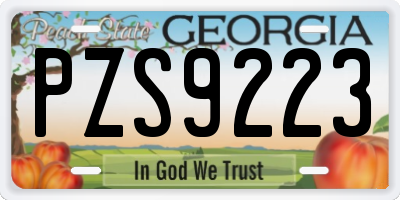 GA license plate PZS9223