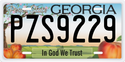 GA license plate PZS9229