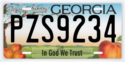 GA license plate PZS9234