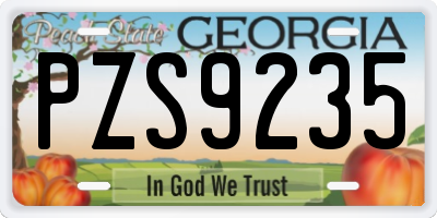 GA license plate PZS9235