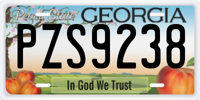 GA license plate PZS9238