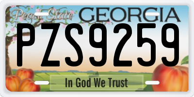 GA license plate PZS9259
