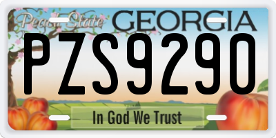 GA license plate PZS9290