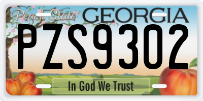 GA license plate PZS9302