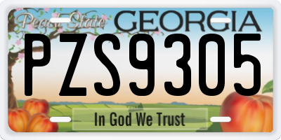 GA license plate PZS9305