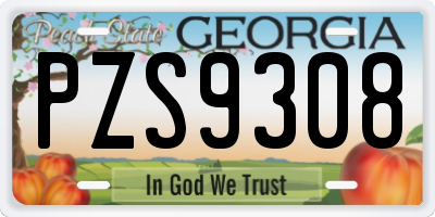 GA license plate PZS9308