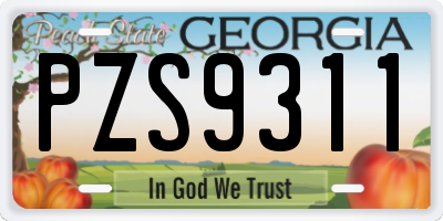 GA license plate PZS9311