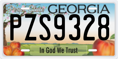 GA license plate PZS9328