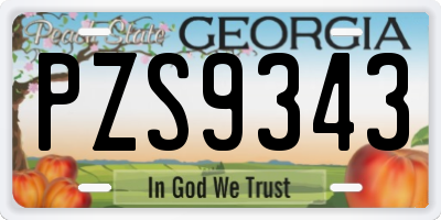 GA license plate PZS9343