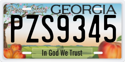 GA license plate PZS9345