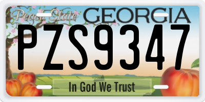 GA license plate PZS9347