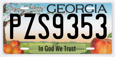GA license plate PZS9353
