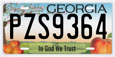GA license plate PZS9364