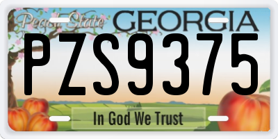 GA license plate PZS9375