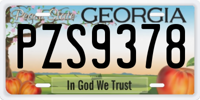 GA license plate PZS9378