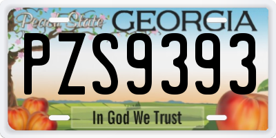 GA license plate PZS9393