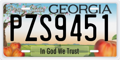 GA license plate PZS9451
