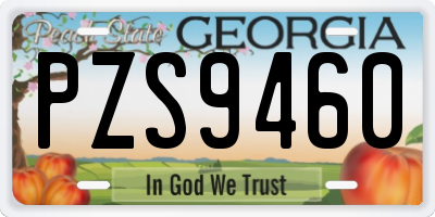 GA license plate PZS9460