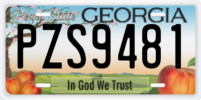 GA license plate PZS9481