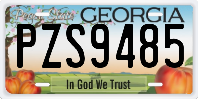 GA license plate PZS9485