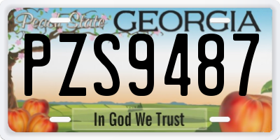 GA license plate PZS9487