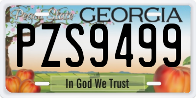 GA license plate PZS9499