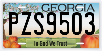 GA license plate PZS9503