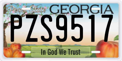 GA license plate PZS9517