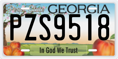 GA license plate PZS9518