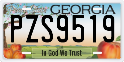 GA license plate PZS9519