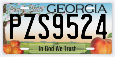 GA license plate PZS9524