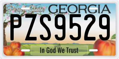 GA license plate PZS9529