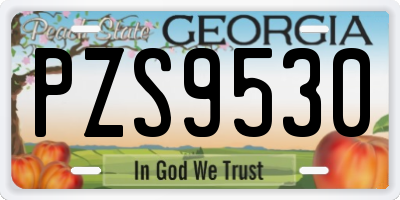 GA license plate PZS9530