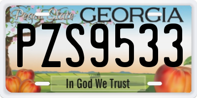GA license plate PZS9533